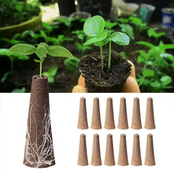 12шт губок для роста корней, стартовые капсулы для семян растений, Стартовые капсулы для семян, простые в использовании Сменные губки, система роста корней