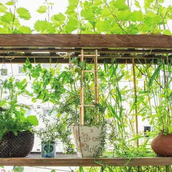 Бамбуковая решетка для лазания по растениям Бамбуковая лестница с перекручивающимися стяжками Опора для вьющихся растений Наружная опорная рама Для выращивания овощей